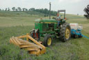 weed control and prevention